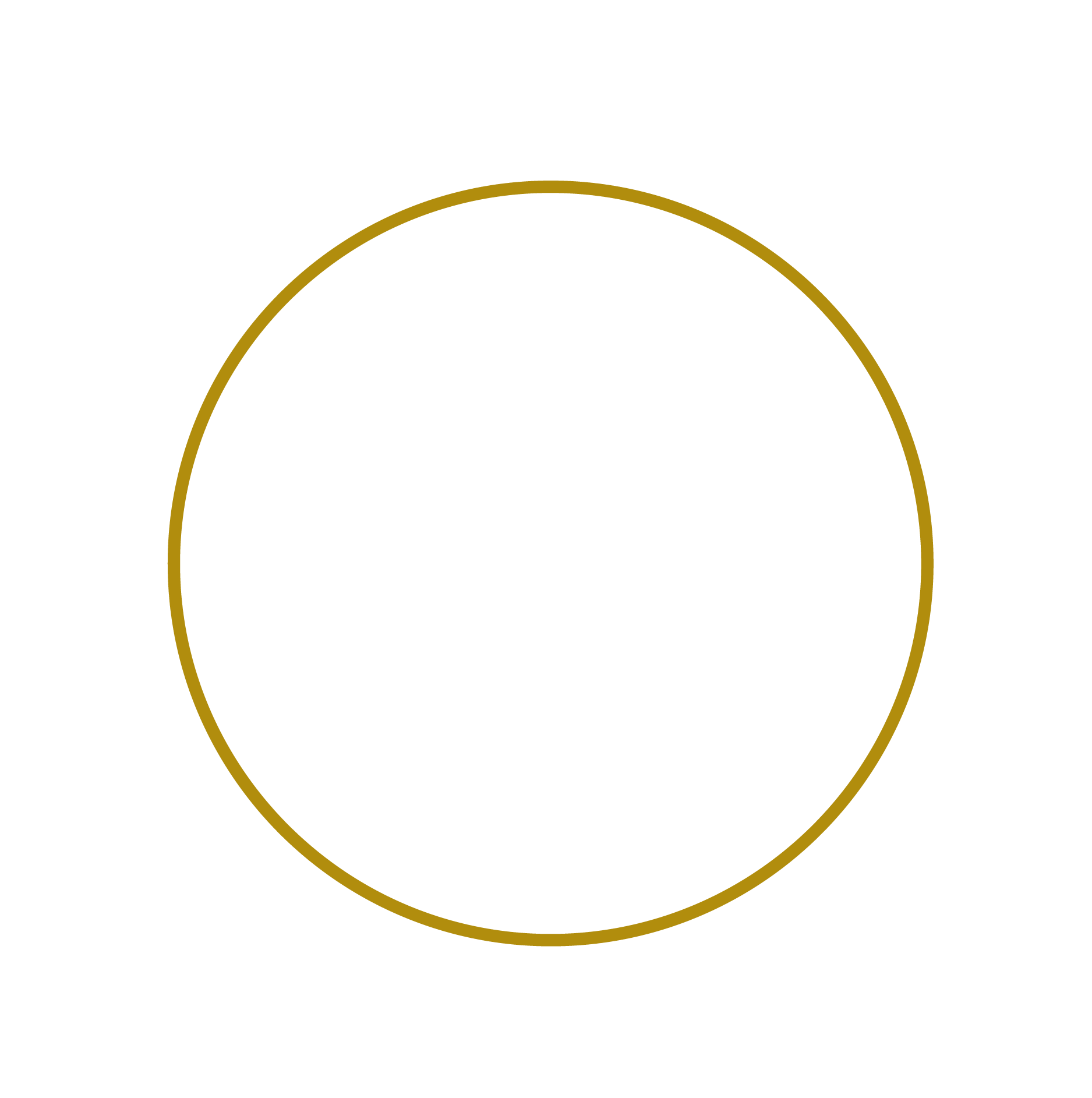 CSI Network